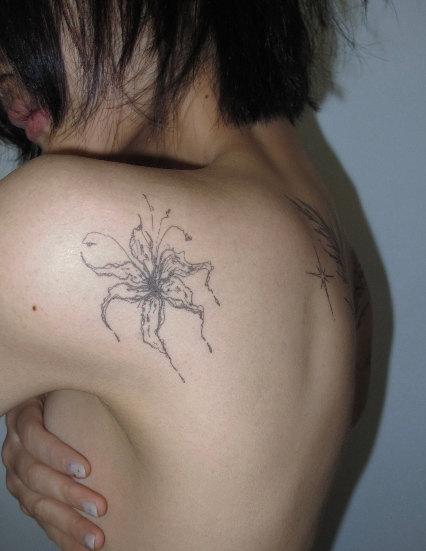 Lily flower